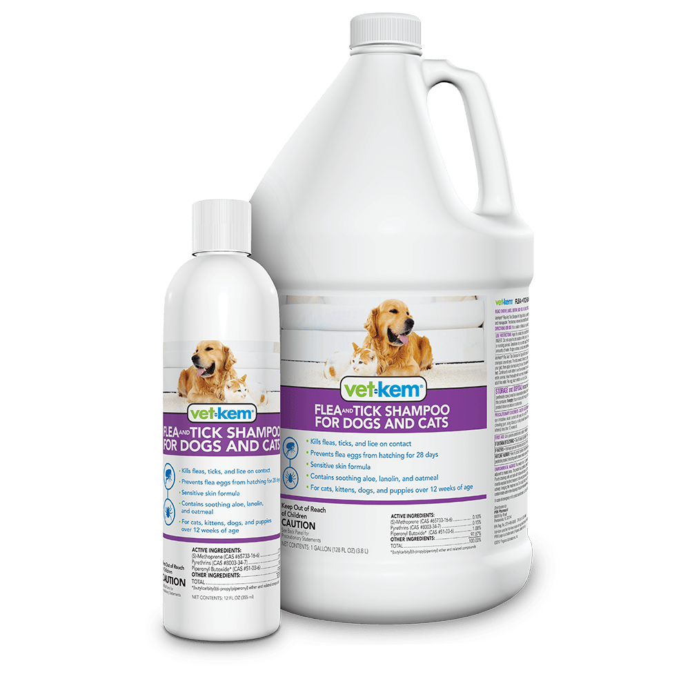 petco flea and tick shampoo