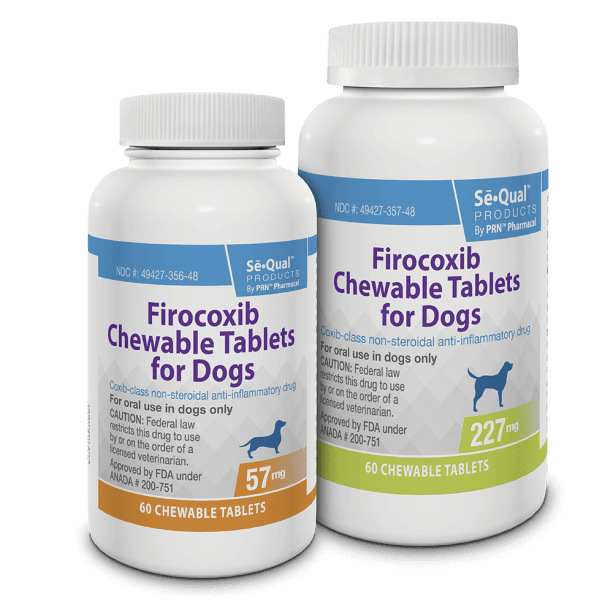 SeQual-Firocoxib_Canine_group_60ct